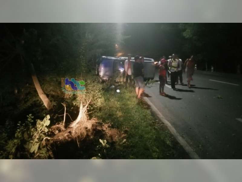 Di Kalitidu, Avanza Tabrak Pohon Penghijauan Lalu Terpental dan Terguling