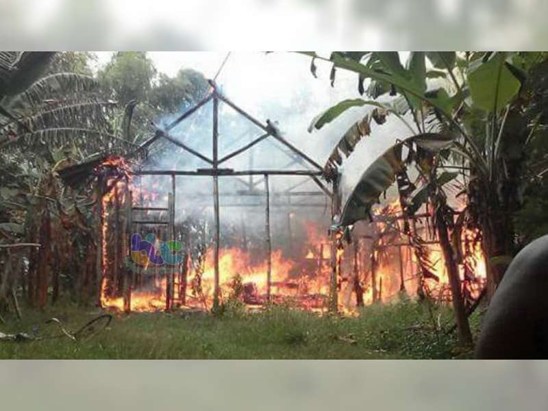 Seorang Perempuan Penderita Gangguan Jiwa di Kanor Bakar Rumah Orang Tuanya