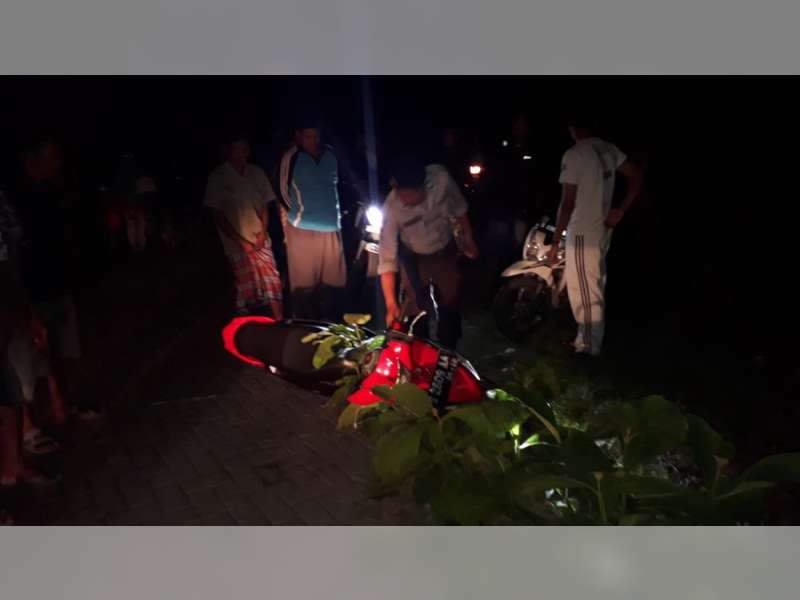 Diduga Dalam Pengaruh Miras, Pemotor di Sugihwaras Tabrak Pohon Tumbang