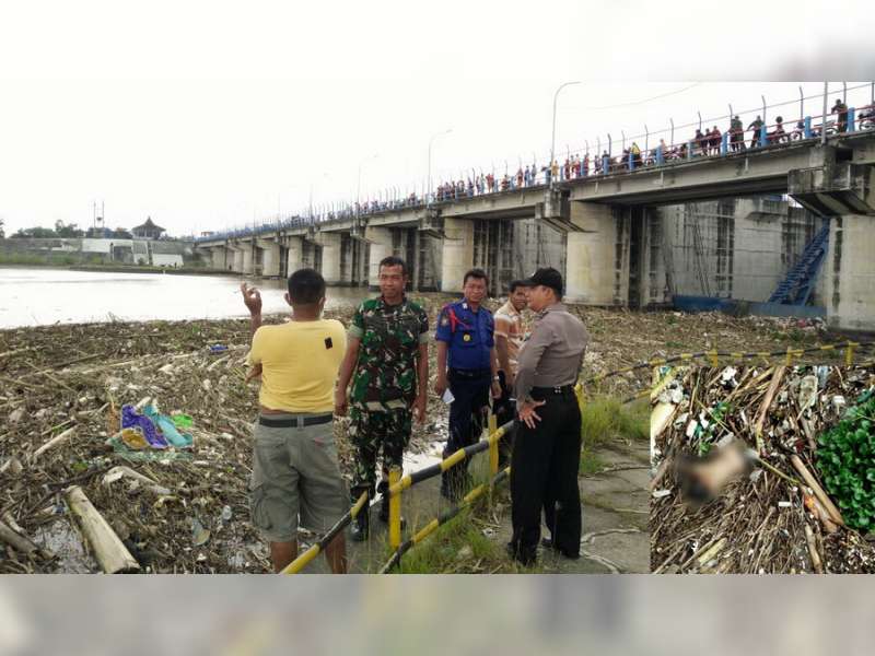 Mayat Mrs X Ditemukan Mengapung di Bendung Gerak Bengawan Solo Kalitidu