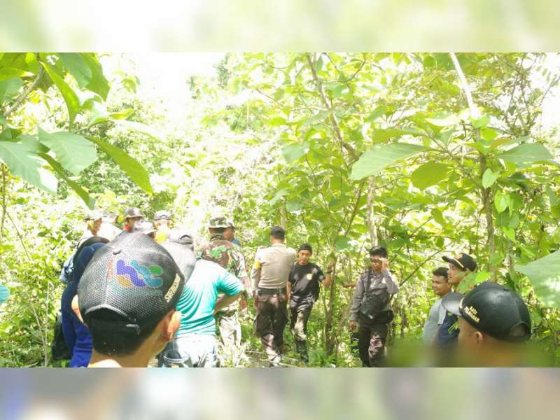 Pencarian Nenek Yang Dilaporkan Hilang di Hutan Tambakrejo, Belum Membuahkan Hasil
