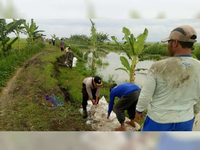 Aparat Bersama Warga Kanor, Kerja Bakti Perbaiki Tanggul Sungai Yang Longsor