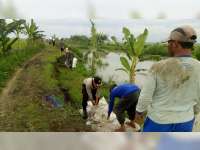 Aparat Bersama Warga Kanor, Kerja Bakti Perbaiki Tanggul Sungai Yang Longsor
