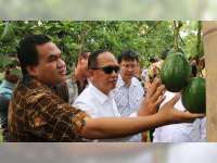 Menristekdikti Dorong Pengembangan Buah Nusantara di Blora