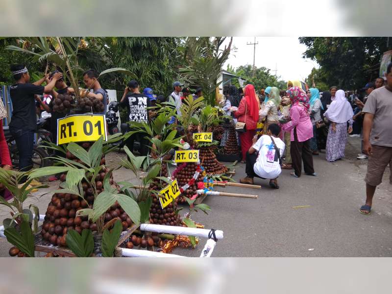 22 Gunungan Meriahkan Festival Salak Wedi 2018