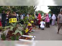 22 Gunungan Meriahkan Festival Salak Wedi 2018