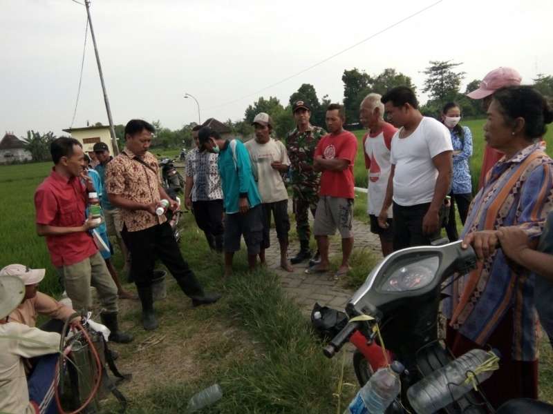 Bersama Pantau Masa Tanam 2 di Trenggulungan Ngasem