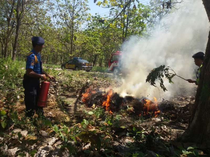 5.520 Batang Pohon Jati Hilang Akibat Pembalakan Liar