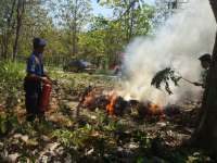 5.520 Batang Pohon Jati Hilang Akibat Pembalakan Liar