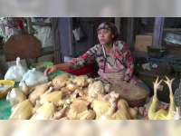 Tinggi Harga Daging Ayam Cekik Warga di Bojonegoro