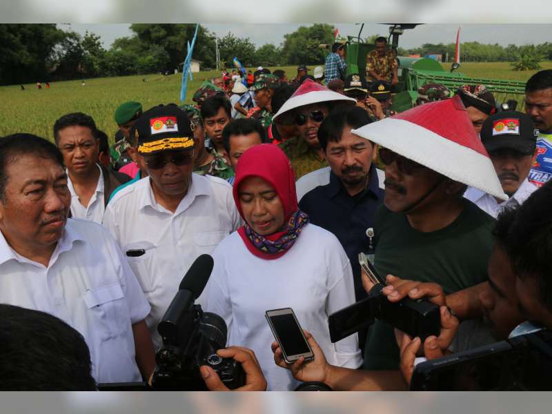Dirjen Hortikultura : Stok Beras Nasional Aman