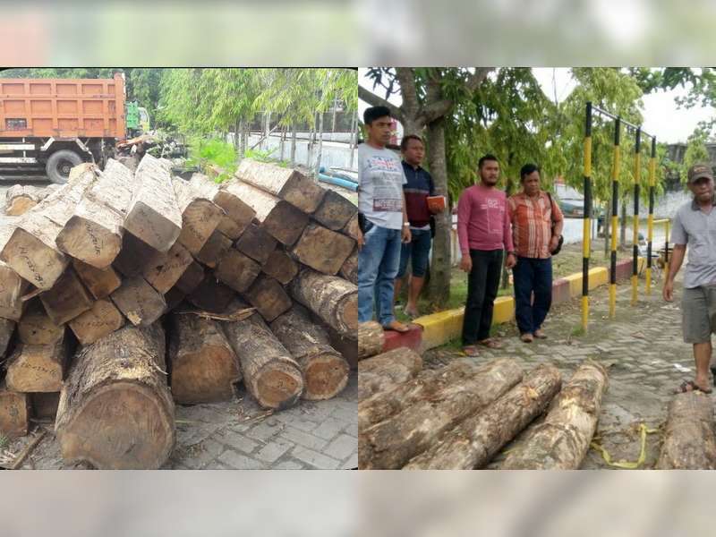 Kedapatan Mengangkut Kayu Jati Ilegal Seorang Warga Gondang Diamankan Polisi
