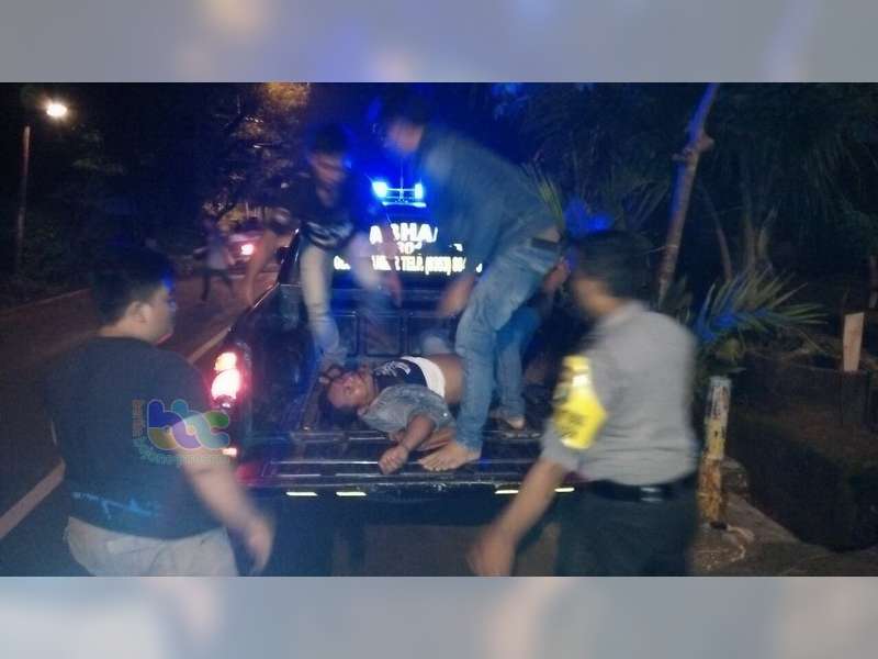 Kawasaki Ninja Tubruk Pohon Penghijauan di Dander, Pengendara Babak-Belur