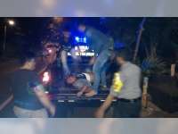 Kawasaki Ninja Tubruk Pohon Penghijauan di Dander, Pengendara Babak-Belur