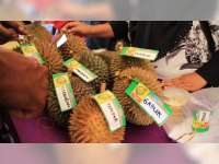 Dinas Pertanian Blora Gelar Festival Durian Lokal