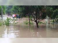 Banjir Bandang Terjadi di Sejumlah Wilayah Bojonegoro