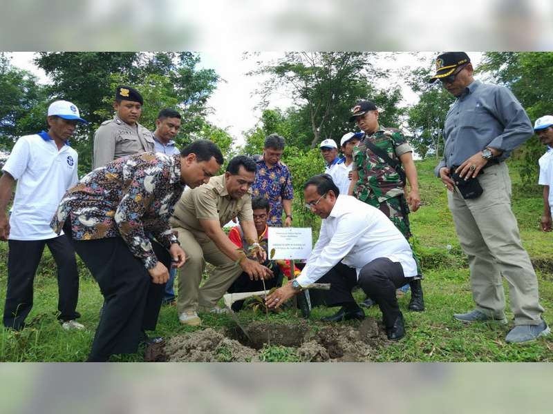 Satya W Yudha & LIPI Tanam 1000 Bibit Durian di Negeri Atas Angin