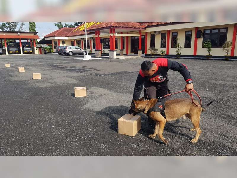 Minimalisir Peredaran Narkoba Polres Blora Latih Anjing Pelacak Narkoba