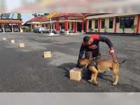 Minimalisir Peredaran Narkoba Polres Blora Latih Anjing Pelacak Narkoba