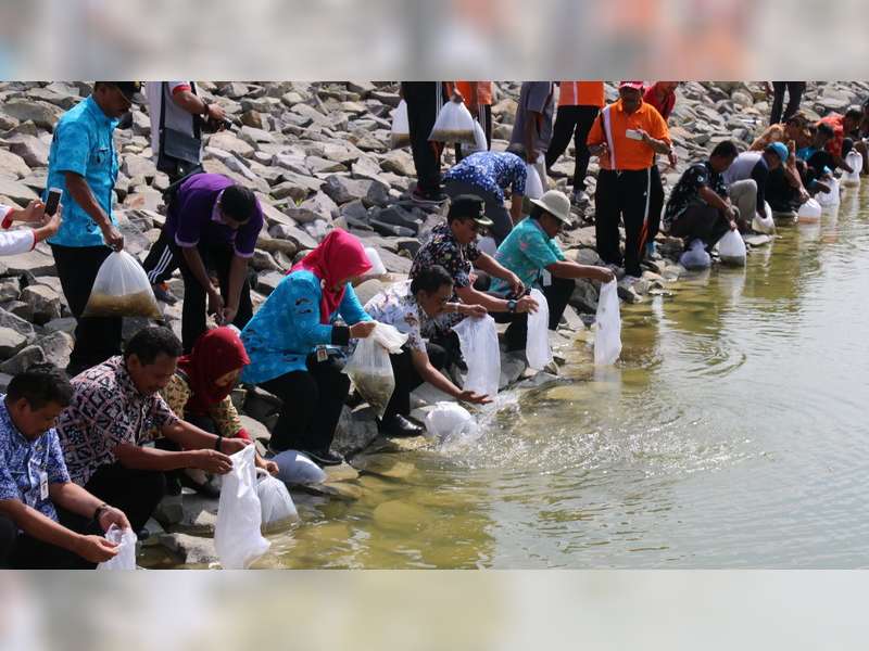 Ratusan Ribu Benih Ikan Ditebar di Sejumlah Embung dan Waduk di Blora