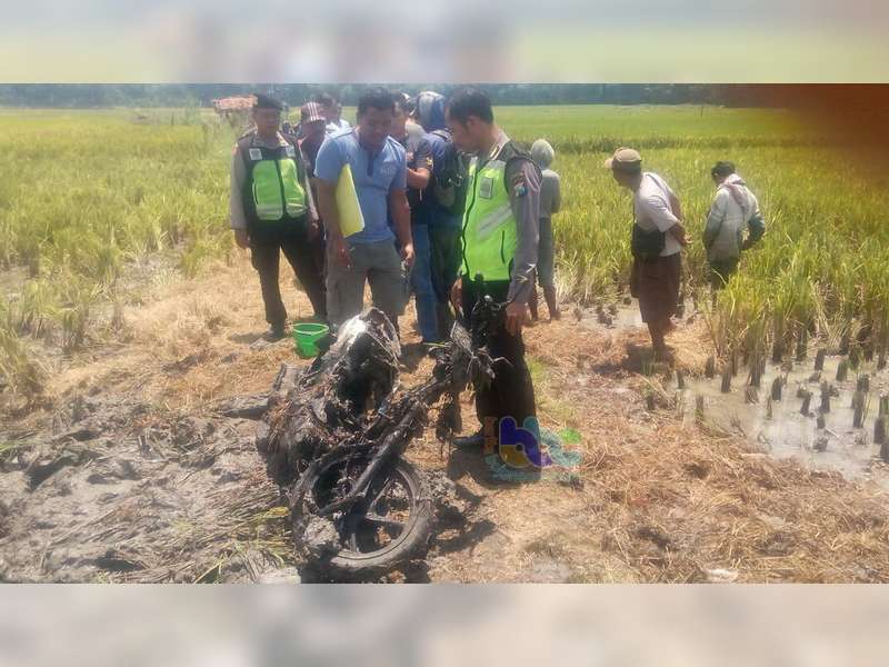 Motor Milik Warga Ngraho Terbakar di Area Pesawahan Padangan