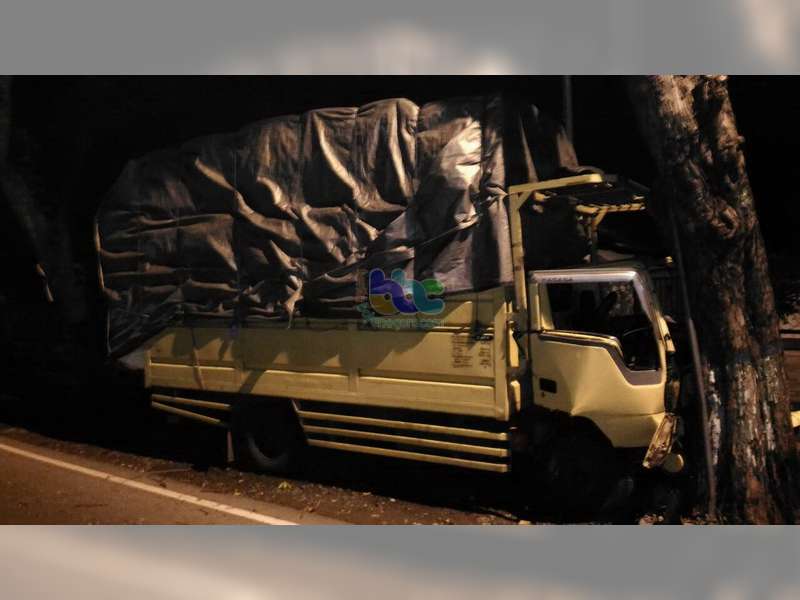 Truk Tabrak Pohon Penghijauan di Baureno, Pengemudi Patah Tulang Kaki