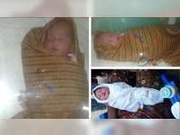 Warga Ngambon Digegerkan Penemuan Sesosok Bayi Perempuan