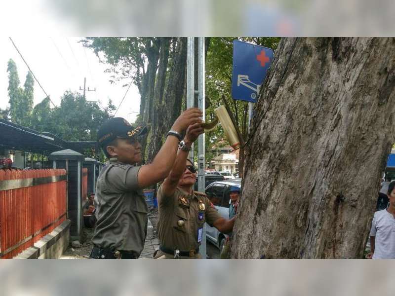 Saklar Memiliki Aliran Listrik Banyak Dipasang di Pohon