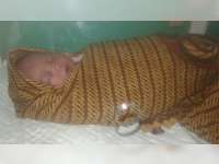 13 Keluarga Berminat Mengadopsi Bayi yang Ditemukan di Ngambon