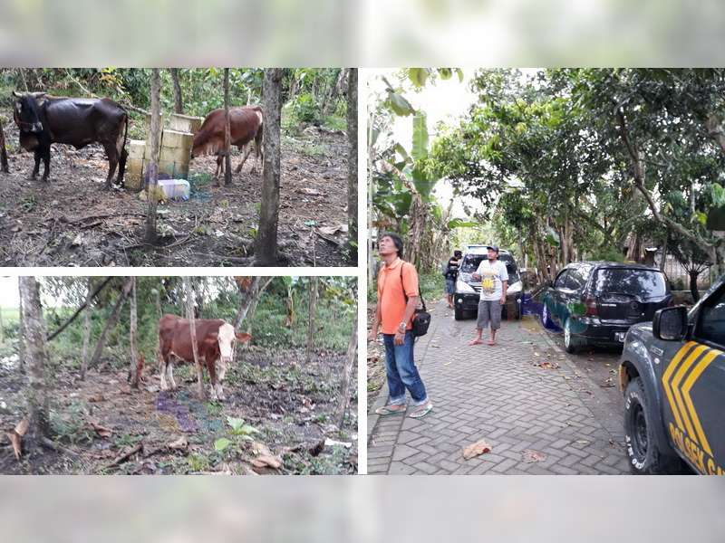 Polisi Tangkap Warga Gayam, Pelaku Penadahan Hewan Ternak dan Mesin Diesel Hasil Curian