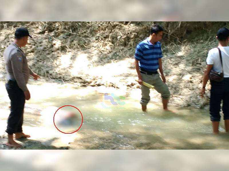 Nenek Berusia 90 Tahun Warga Ngraho, Ditemukan Meninggal Dunia Tenggelam di Sungai