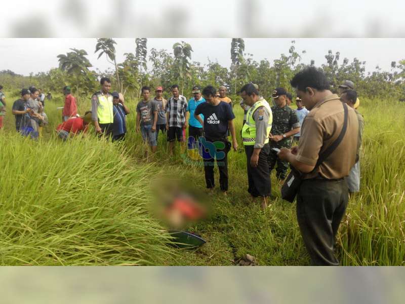 Seorang Kakek Warga Ngraho Ditemukan Meninggal di Pinggir Hutan