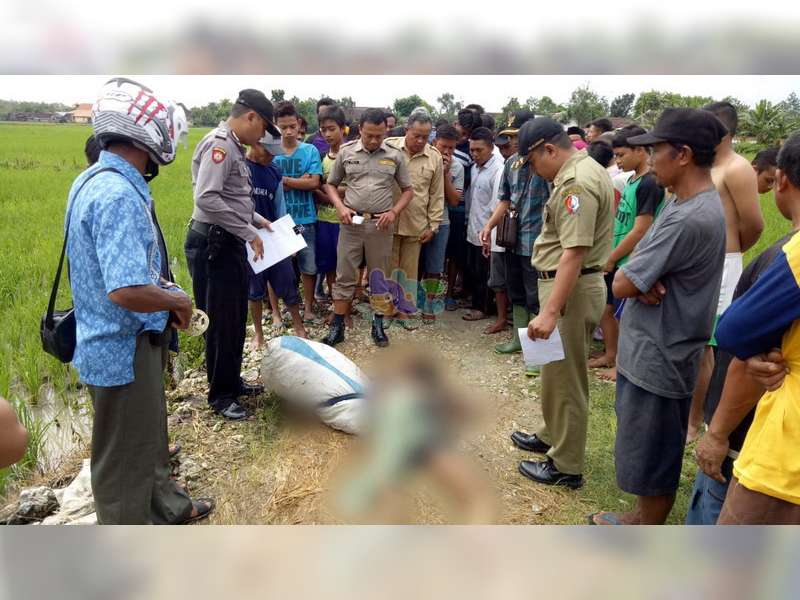 Warga Temayang Ditemukan Meninggal Dunia di Sawah Akibat Disambar Petir