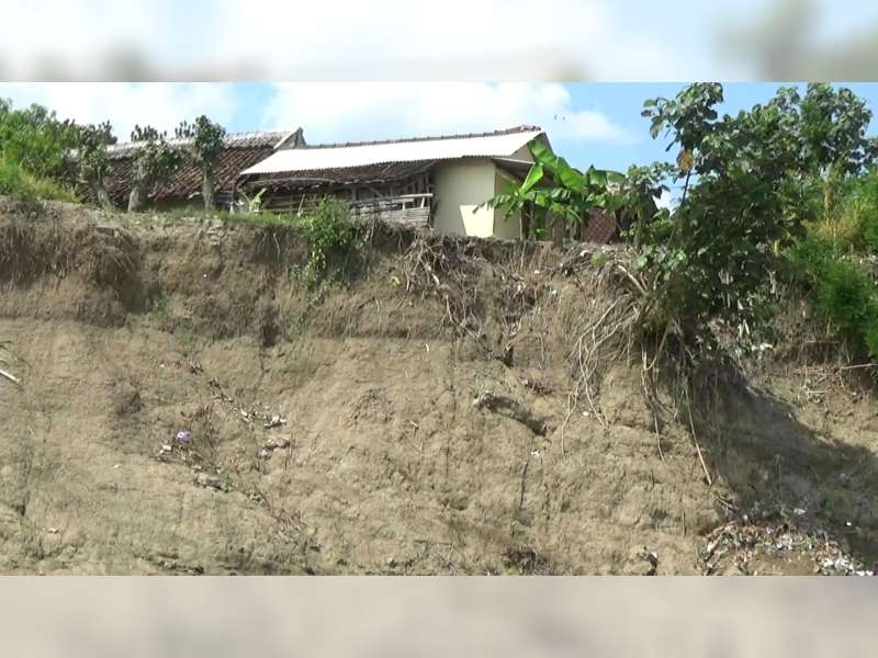 Tebing Bengawan Solo di Trucuk Longsor 600 Meter