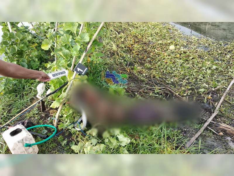 Seorang Warga Widang Ditemukan Meninggal Dunia Tersengat Listrik