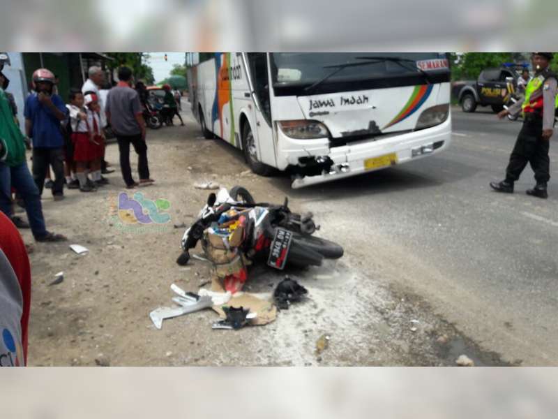 Motor Ditabrak Bus di Tuban Pengendara Motor Tewas di TKP