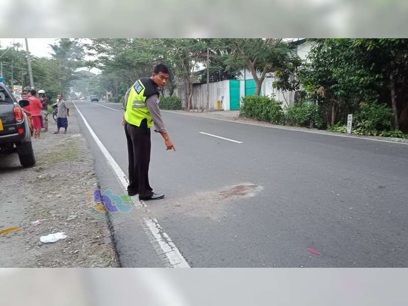 Diduga Mengantuk, Pemotor di Baureno Bojonegoro Menabrak Truk