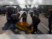 Pria Tanpa Identitas, Tewas Terlindas Truk di Tambakboyo Tuban