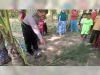 Jatuh Dari Pohon Asam, Warga Kedungadem Bojonegoro Meninggal Dunia