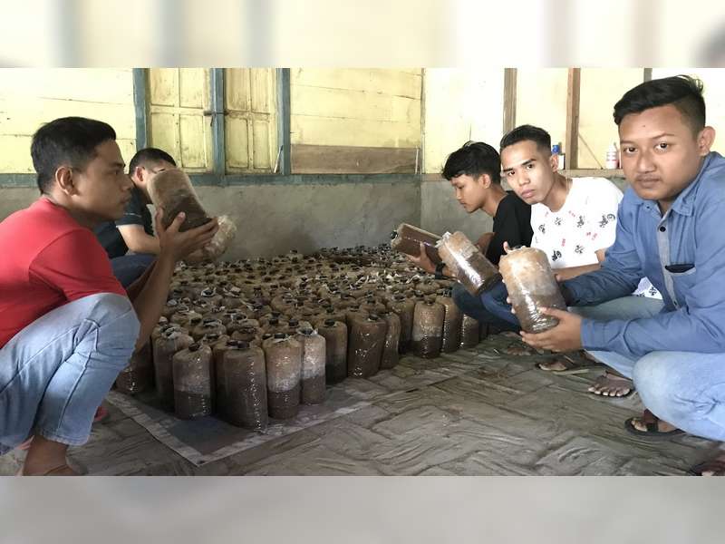 Menilik Usaha Jamur Tiram, Pemuda Desa Begadon Kecamatan Gayam Bojonegoro