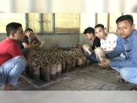 Menilik Usaha Jamur Tiram, Pemuda Desa Begadon Kecamatan Gayam Bojonegoro