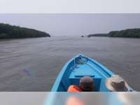 Muara Sungai Bengawan Solo Nan Eksotik