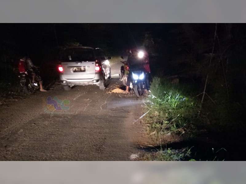 Pemotor di Bubulan Bojonegoro Luka Parah Akibat Tabrak Pohon di Pinggir Jalan