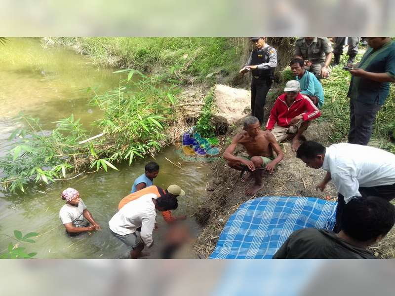 Diduga Epilepsi Kambuh, Warga Purwosari Bojonegoro Ditemukan Meninggal di Sungai