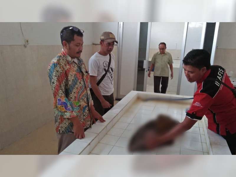 Polres Bojonegoro Masih Dalami Motif Pembunuhan Bayi Oleh Ibu Kandungnya