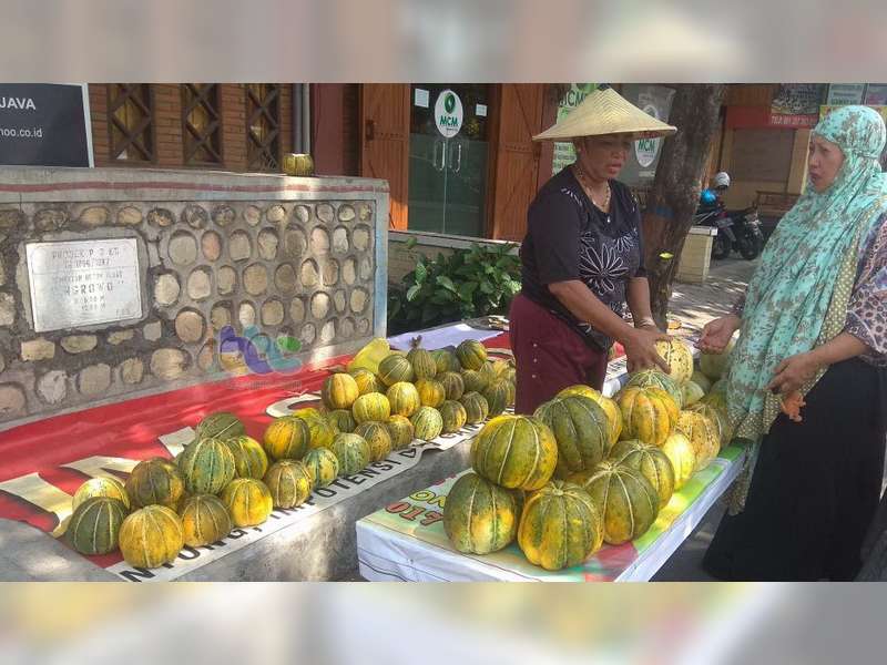 Blewah, Masih Jadi Menu Favorit Buka Puasa di Bojonegoro