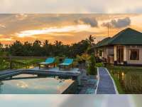 Villa di Bali, Sempurnanya Bermalam di Tengah Sawah!