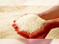 Tuntunan Zakat Fitrah