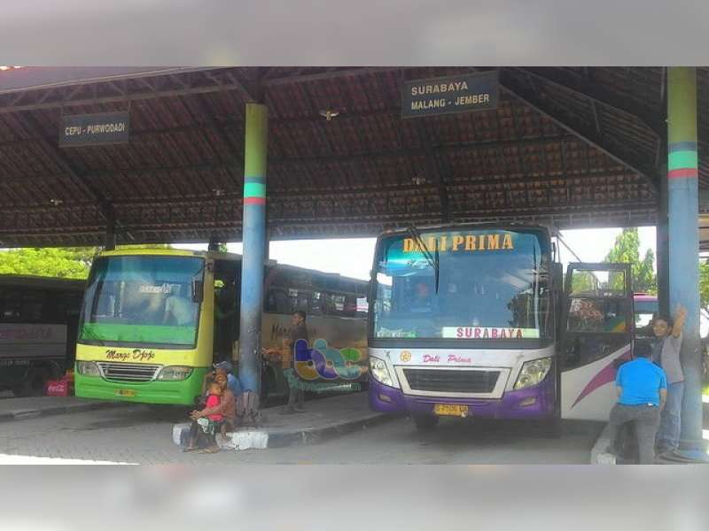 Saat Pencoblosan, Penumpang Bus di Terminal Rajekwesi Bojonegoro Turun 50 Persen