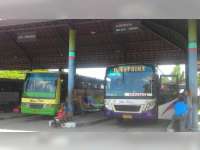 Saat Pencoblosan, Penumpang Bus di Terminal Rajekwesi Bojonegoro Turun 50 Persen